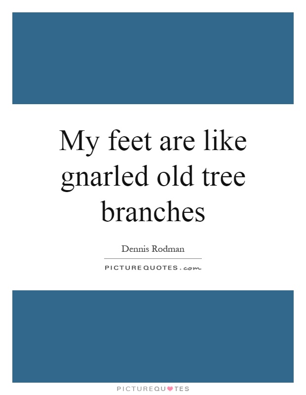 My feet are like gnarled old tree branches Picture Quote #1