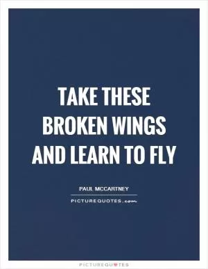 Take these broken wings and learn to fly Picture Quote #1