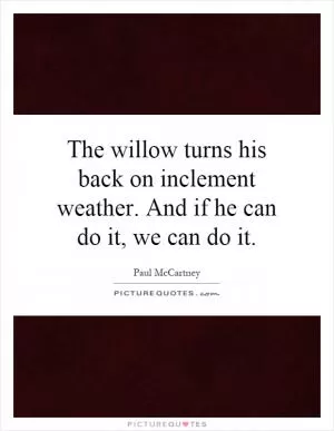 The willow turns his back on inclement weather. And if he can do it, we can do it Picture Quote #1