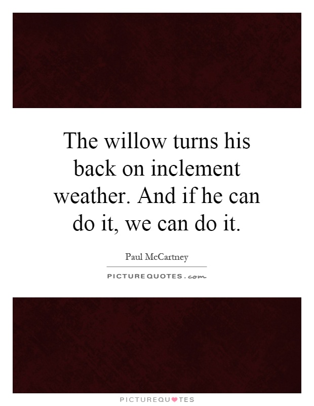 The willow turns his back on inclement weather. And if he can do it, we can do it Picture Quote #1