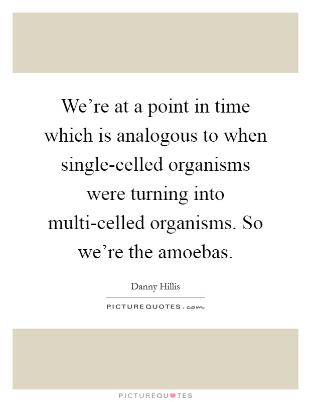 We're at a point in time which is analogous to when single-celled organisms were turning into multi-celled organisms. So we're the amoebas Picture Quote #1