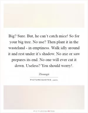 Big? Sure. But, he can’t catch mice! So for your big tree. No use? Then plant it in the wasteland - in emptiness. Walk idly around it and rest under it’s shadow. No axe or saw prepares its end. No one will ever cut it down. Useless? You should worry! Picture Quote #1
