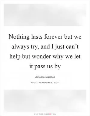 Nothing lasts forever but we always try, and I just can’t help but wonder why we let it pass us by Picture Quote #1