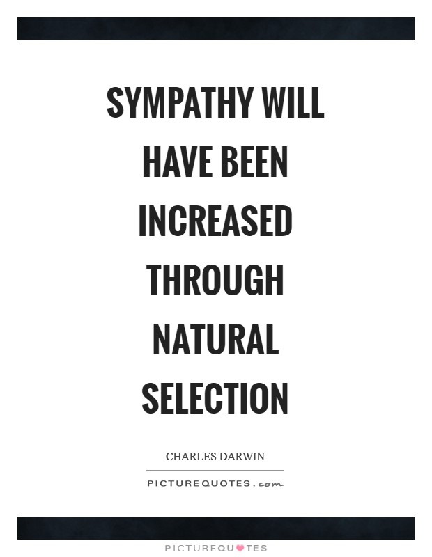 Sympathy will have been increased through natural selection Picture Quote #1