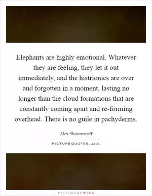 Elephants are highly emotional. Whatever they are feeling, they let it out immediately, and the histrionics are over and forgotten in a moment, lasting no longer than the cloud formations that are constantly coming apart and re-forming overhead. There is no guile in pachyderms Picture Quote #1
