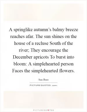 A springlike autumn’s balmy breeze reaches afar. The sun shines on the house of a recluse South of the river; They encourage the December apricots To burst into bloom: A simplehearted person Faces the simplehearted flowers Picture Quote #1