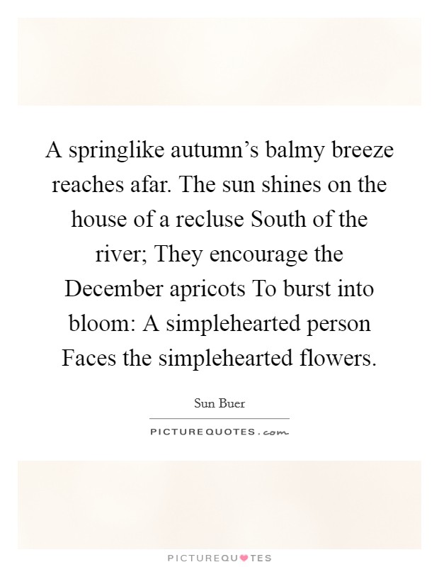 A springlike autumn's balmy breeze reaches afar. The sun shines on the house of a recluse South of the river; They encourage the December apricots To burst into bloom: A simplehearted person Faces the simplehearted flowers Picture Quote #1