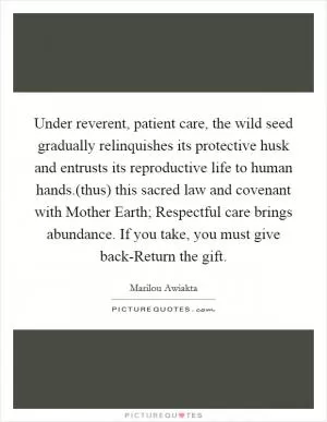 Under reverent, patient care, the wild seed gradually relinquishes its protective husk and entrusts its reproductive life to human hands.(thus) this sacred law and covenant with Mother Earth; Respectful care brings abundance. If you take, you must give back-Return the gift Picture Quote #1