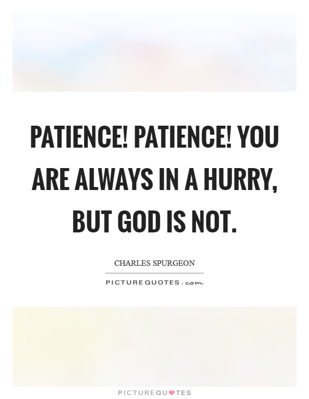 Patience! patience! You are always in a hurry, but God is not Picture Quote #1