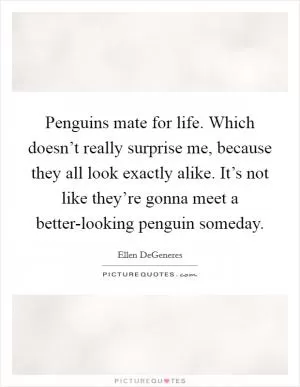 Penguins mate for life. Which doesn’t really surprise me, because they all look exactly alike. It’s not like they’re gonna meet a better-looking penguin someday Picture Quote #1
