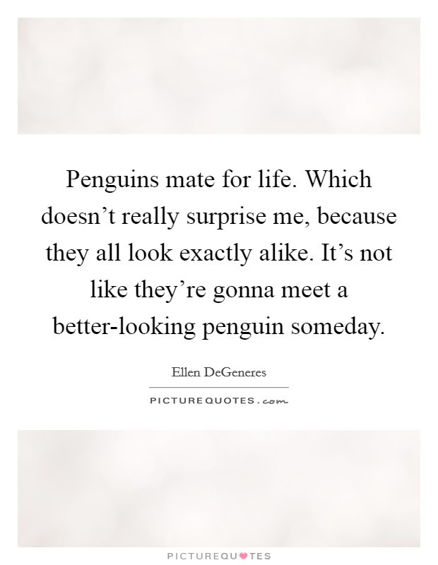 Penguins mate for life. Which doesn't really surprise me, because they all look exactly alike. It's not like they're gonna meet a better-looking penguin someday Picture Quote #1