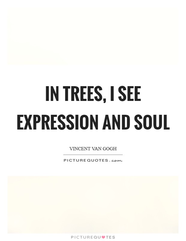 In trees, I see expression and soul Picture Quote #1