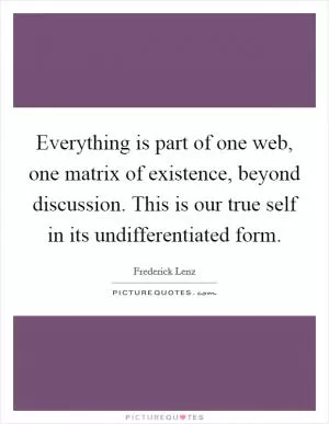 Everything is part of one web, one matrix of existence, beyond discussion. This is our true self in its undifferentiated form Picture Quote #1