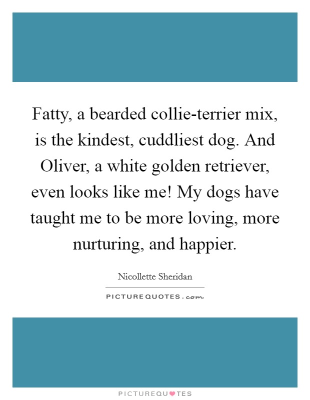 Fatty, a bearded collie-terrier mix, is the kindest, cuddliest dog. And Oliver, a white golden retriever, even looks like me! My dogs have taught me to be more loving, more nurturing, and happier Picture Quote #1