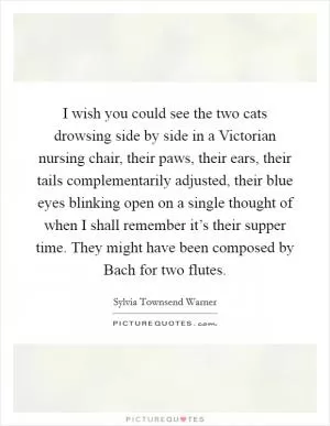 I wish you could see the two cats drowsing side by side in a Victorian nursing chair, their paws, their ears, their tails complementarily adjusted, their blue eyes blinking open on a single thought of when I shall remember it’s their supper time. They might have been composed by Bach for two flutes Picture Quote #1
