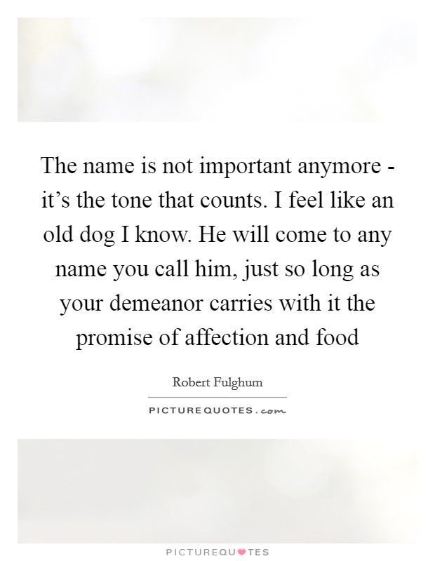 The name is not important anymore - it's the tone that counts. I feel like an old dog I know. He will come to any name you call him, just so long as your demeanor carries with it the promise of affection and food Picture Quote #1