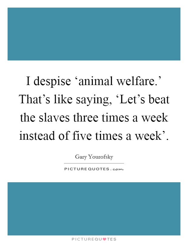 I despise ‘animal welfare.' That's like saying, ‘Let's beat the slaves three times a week instead of five times a week' Picture Quote #1