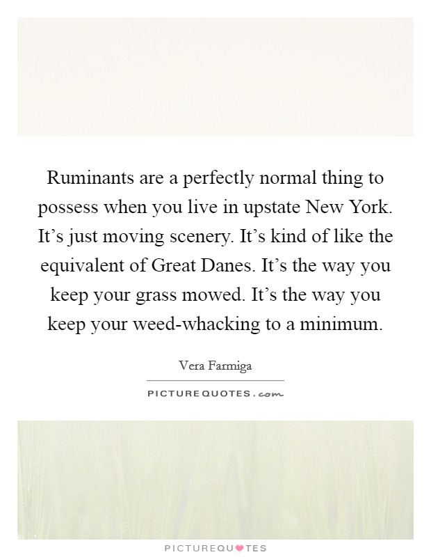 Ruminants are a perfectly normal thing to possess when you live in upstate New York. It's just moving scenery. It's kind of like the equivalent of Great Danes. It's the way you keep your grass mowed. It's the way you keep your weed-whacking to a minimum Picture Quote #1