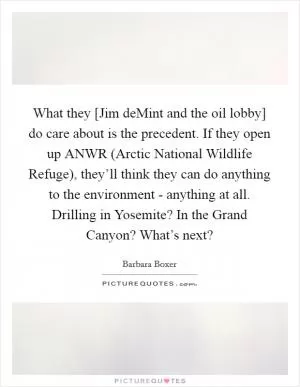 What they [Jim deMint and the oil lobby] do care about is the precedent. If they open up ANWR (Arctic National Wildlife Refuge), they’ll think they can do anything to the environment - anything at all. Drilling in Yosemite? In the Grand Canyon? What’s next? Picture Quote #1