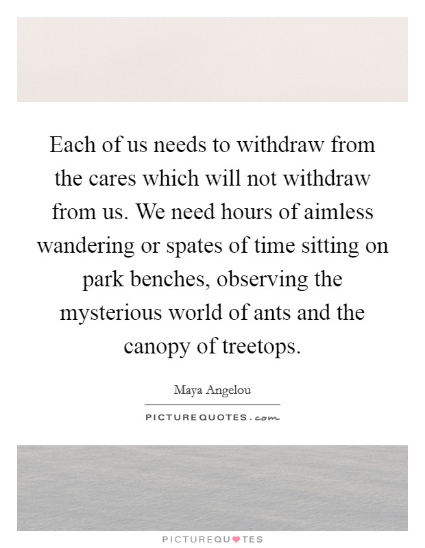 Each of us needs to withdraw from the cares which will not withdraw from us. We need hours of aimless wandering or spates of time sitting on park benches, observing the mysterious world of ants and the canopy of treetops Picture Quote #1