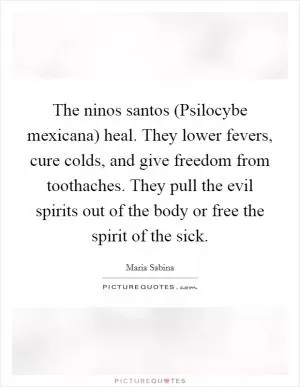The ninos santos (Psilocybe mexicana) heal. They lower fevers, cure colds, and give freedom from toothaches. They pull the evil spirits out of the body or free the spirit of the sick Picture Quote #1