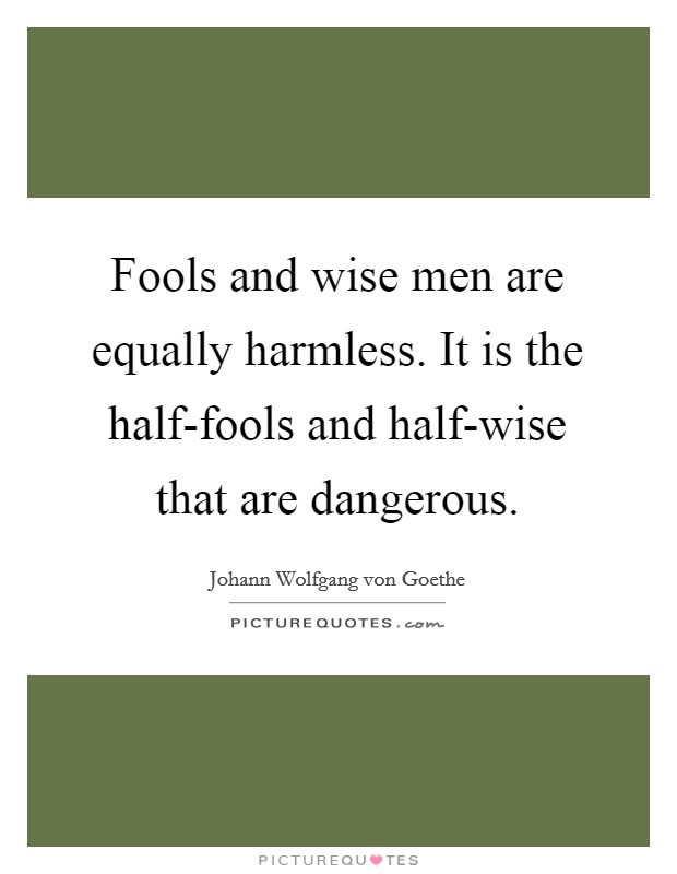 Fools and wise men are equally harmless. It is the half-fools and half-wise that are dangerous Picture Quote #1