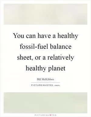 You can have a healthy fossil-fuel balance sheet, or a relatively healthy planet Picture Quote #1