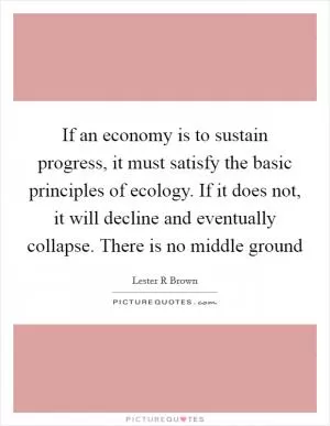 If an economy is to sustain progress, it must satisfy the basic principles of ecology. If it does not, it will decline and eventually collapse. There is no middle ground Picture Quote #1
