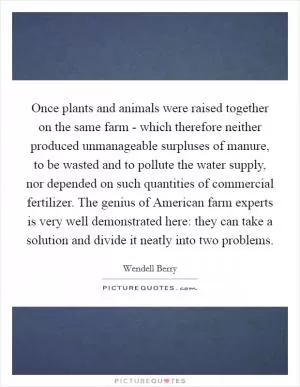 Once plants and animals were raised together on the same farm - which therefore neither produced unmanageable surpluses of manure, to be wasted and to pollute the water supply, nor depended on such quantities of commercial fertilizer. The genius of American farm experts is very well demonstrated here: they can take a solution and divide it neatly into two problems Picture Quote #1