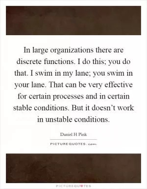 In large organizations there are discrete functions. I do this; you do that. I swim in my lane; you swim in your lane. That can be very effective for certain processes and in certain stable conditions. But it doesn’t work in unstable conditions Picture Quote #1