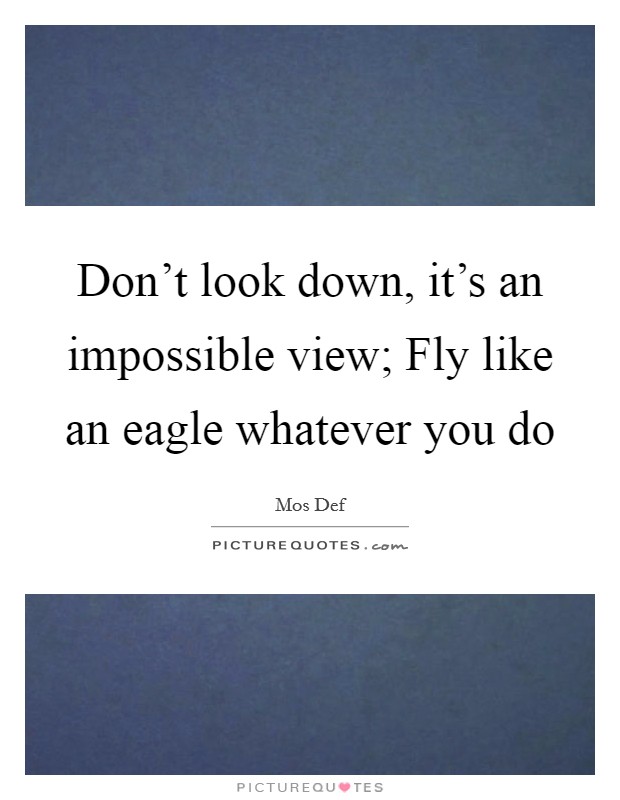 Don't look down, it's an impossible view; Fly like an eagle whatever you do Picture Quote #1