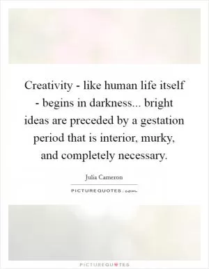 Creativity - like human life itself - begins in darkness... bright ideas are preceded by a gestation period that is interior, murky, and completely necessary Picture Quote #1