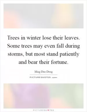 Trees in winter lose their leaves. Some trees may even fall during storms, but most stand patiently and bear their fortune Picture Quote #1