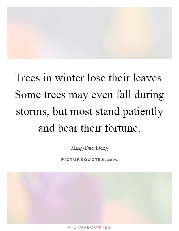 Trees in winter lose their leaves. Some trees may even fall during storms, but most stand patiently and bear their fortune Picture Quote #1