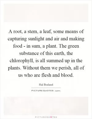 A root, a stem, a leaf, some means of capturing sunlight and air and making food - in sum, a plant. The green substance of this earth, the chlorophyll, is all summed up in the plants. Without them we perish, all of us who are flesh and blood Picture Quote #1