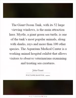 The Giant Ocean Tank, with its 52 large viewing windows, is the main attraction here. Myrtle, a giant green sea turtle, is one of the tank’s most popular animals, along with sharks, rays and more than 100 other species. The Aquarium Medical Center is a working animal hospital exhibit that allows visitors to observe veterinarians examining and treating sea creatures Picture Quote #1