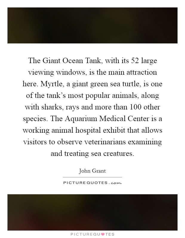 The Giant Ocean Tank, with its 52 large viewing windows, is the main attraction here. Myrtle, a giant green sea turtle, is one of the tank's most popular animals, along with sharks, rays and more than 100 other species. The Aquarium Medical Center is a working animal hospital exhibit that allows visitors to observe veterinarians examining and treating sea creatures Picture Quote #1