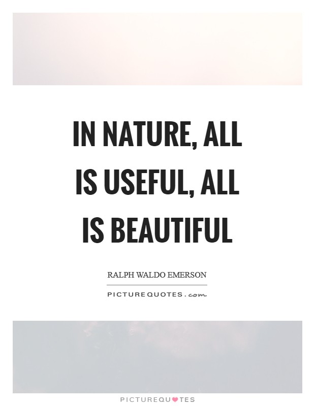 In Nature, all is useful, all is beautiful Picture Quote #1