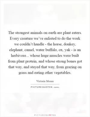 The strongest animals on earth are plant eaters. Every creature we’ve enlisted to do the work we couldn’t handle - the horse, donkey, elephant, camel, water buffalo, ox, yak - is an herbivore... whose huge muscles were built from plant protein, and whose strong bones got that way, and stayed that way, from grazing on grass and eating other vegetables Picture Quote #1
