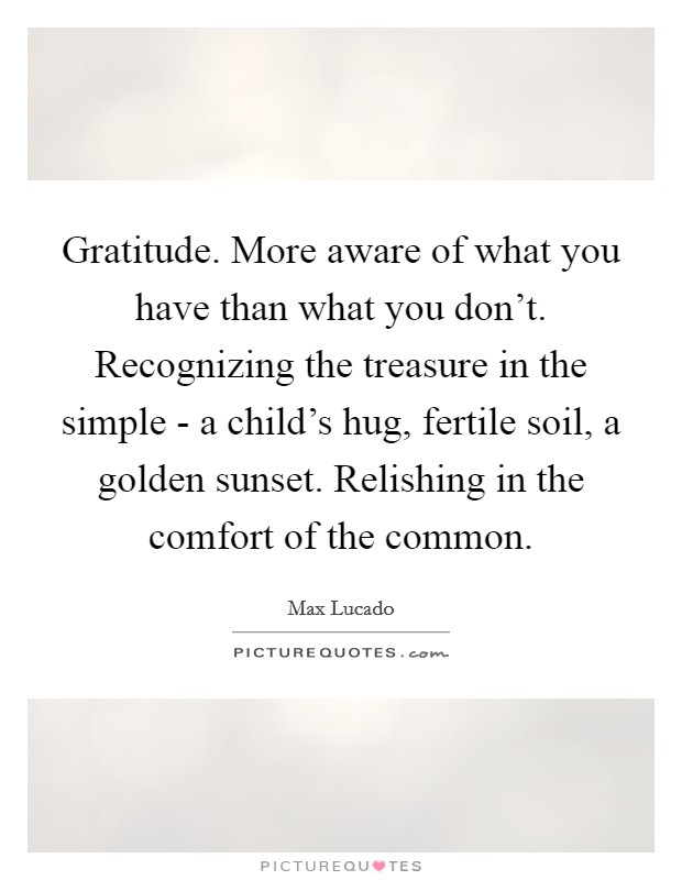 Gratitude. More aware of what you have than what you don't. Recognizing the treasure in the simple - a child's hug, fertile soil, a golden sunset. Relishing in the comfort of the common Picture Quote #1