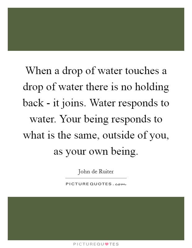 When a drop of water touches a drop of water there is no holding back - it joins. Water responds to water. Your being responds to what is the same, outside of you, as your own being Picture Quote #1