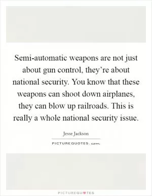 Semi-automatic weapons are not just about gun control, they’re about national security. You know that these weapons can shoot down airplanes, they can blow up railroads. This is really a whole national security issue Picture Quote #1