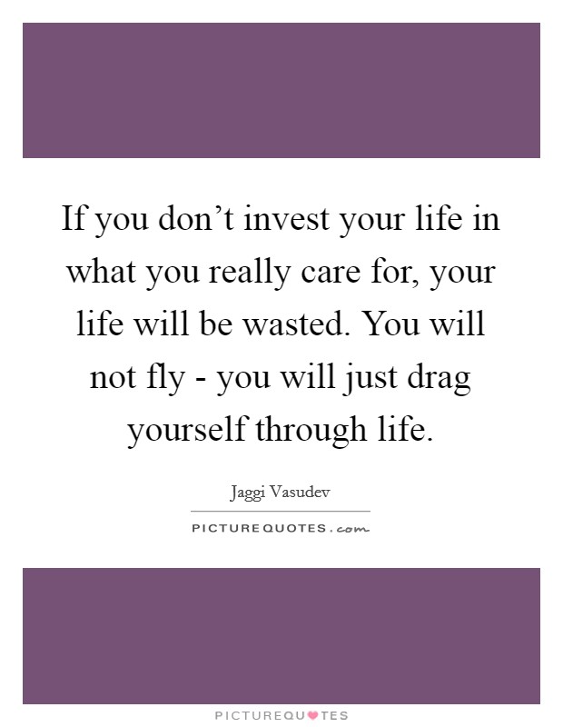 If you don't invest your life in what you really care for, your life will be wasted. You will not fly - you will just drag yourself through life Picture Quote #1