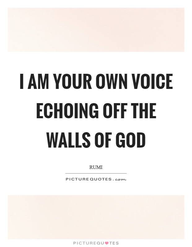 I am your own voice echoing off the walls of God Picture Quote #1