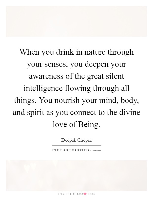When you drink in nature through your senses, you deepen your awareness of the great silent intelligence flowing through all things. You nourish your mind, body, and spirit as you connect to the divine love of Being Picture Quote #1