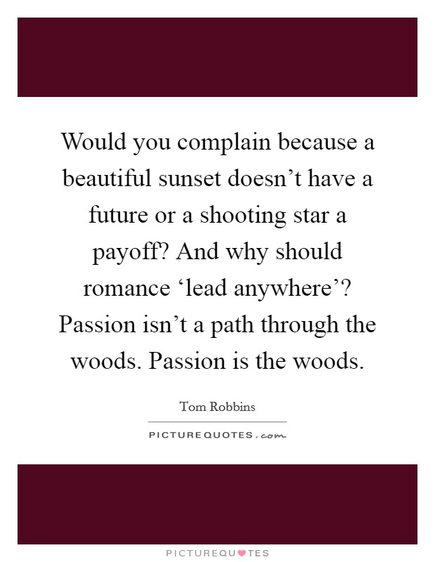 Would you complain because a beautiful sunset doesn't have a future or a shooting star a payoff? And why should romance ‘lead anywhere'? Passion isn't a path through the woods. Passion is the woods Picture Quote #1