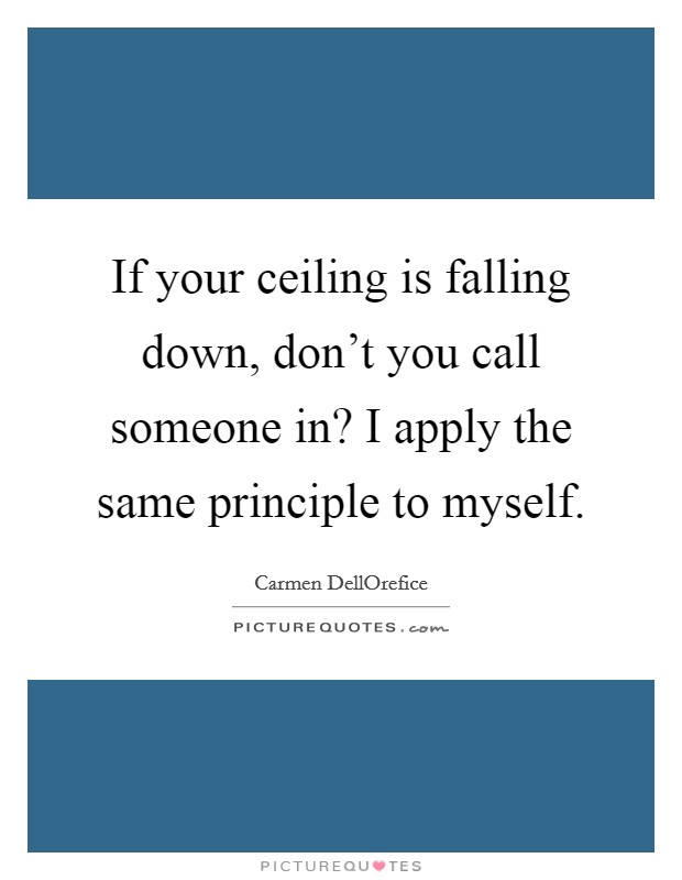 If your ceiling is falling down, don't you call someone in? I apply the same principle to myself Picture Quote #1