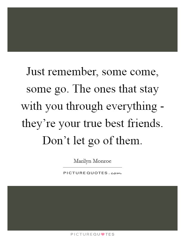 Just remember, some come, some go. The ones that stay with you through everything - they're your true best friends. Don't let go of them Picture Quote #1