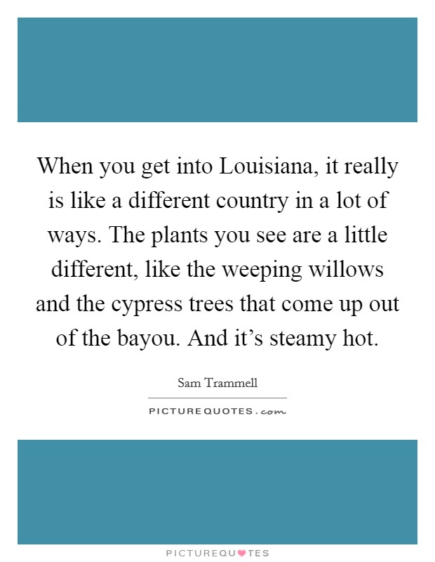 When you get into Louisiana, it really is like a different country in a lot of ways. The plants you see are a little different, like the weeping willows and the cypress trees that come up out of the bayou. And it's steamy hot Picture Quote #1