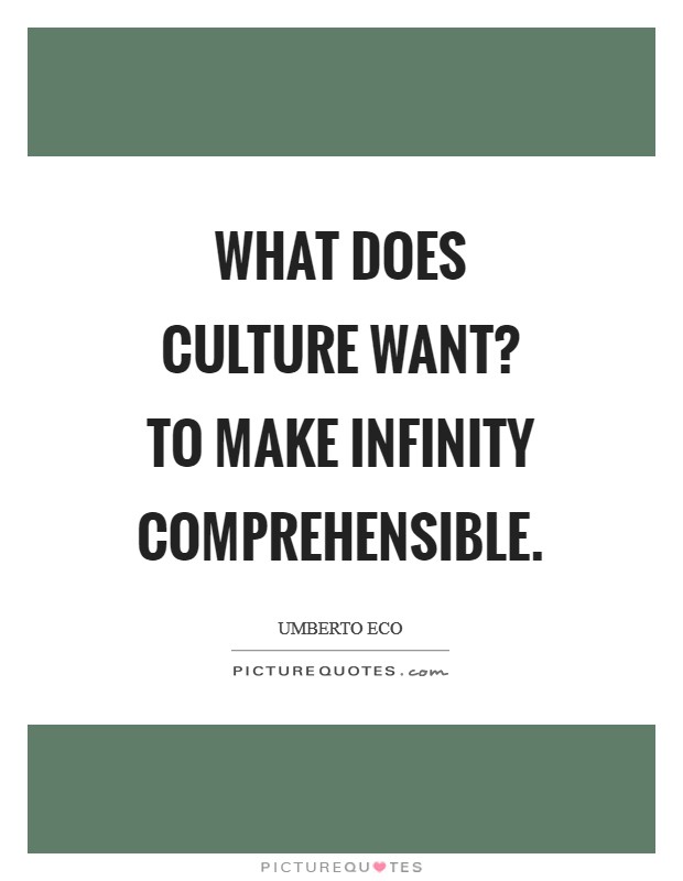 What does culture want? To make infinity comprehensible Picture Quote #1